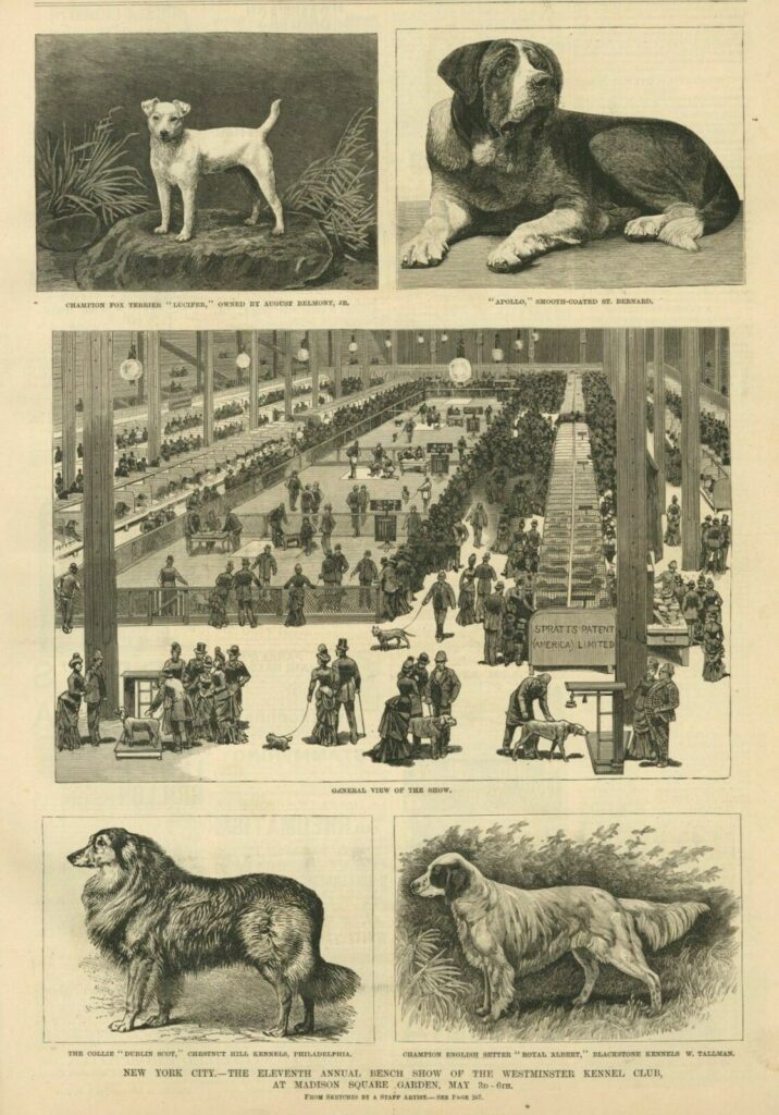 A historic illustration of dogs in a zoo.