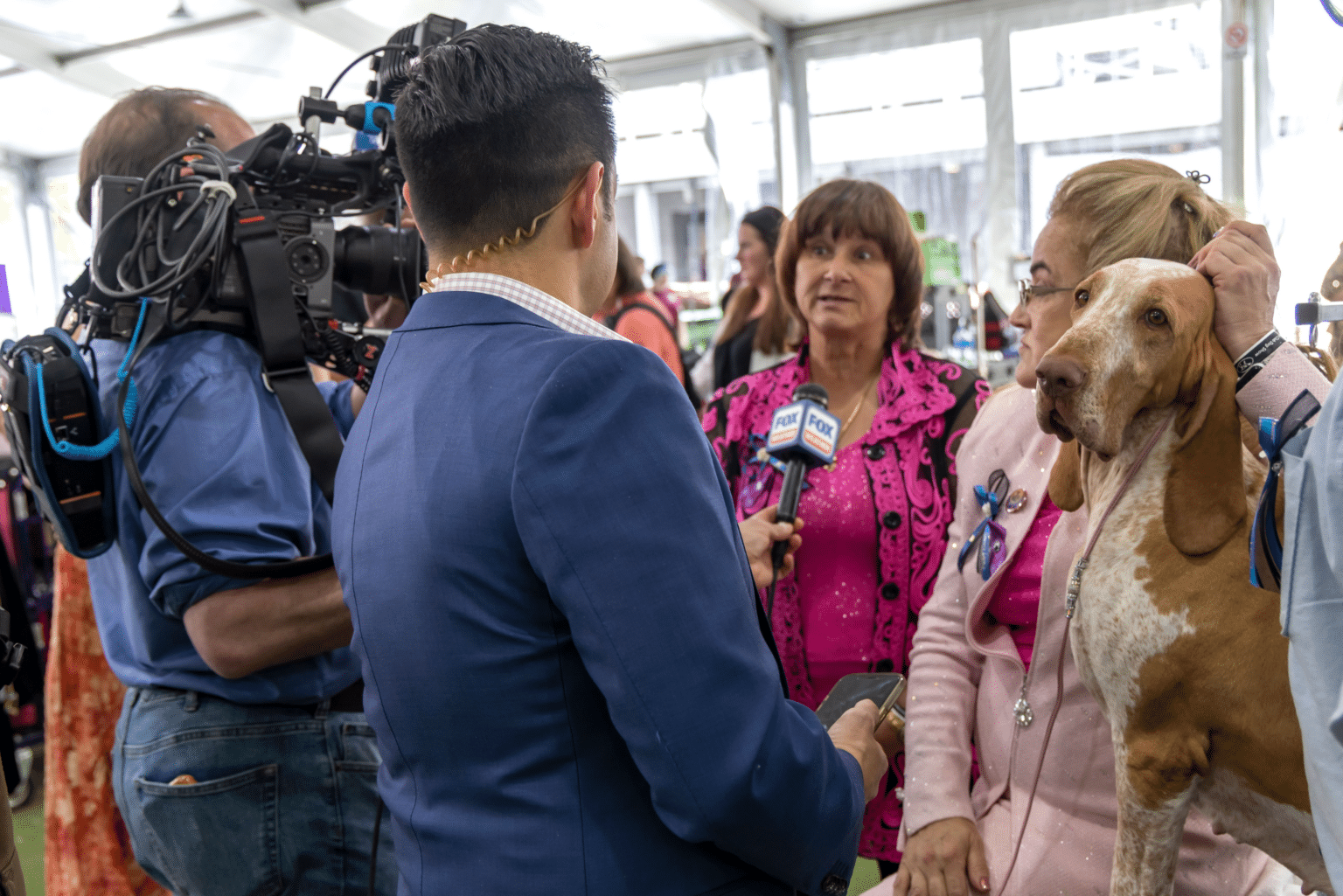 A group of people are talking to a dog at a dog show.