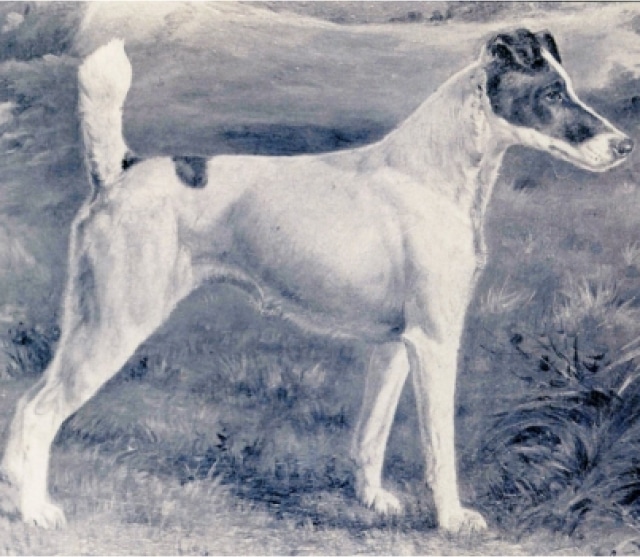 A black and white painting of a dog in a field with a rich history.