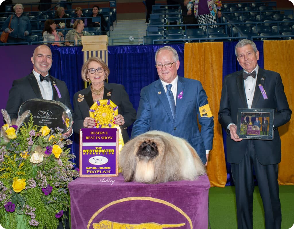 A group of people standing next to a dog at a dog show.