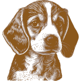 A drawing of a beagle on a white background at an event.