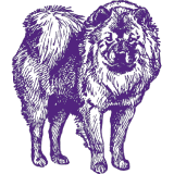 A purple drawing of a chihuahua, inspired by the Westminster Kennel Club.