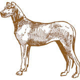 A drawing of a dog standing in front of a white background for events.