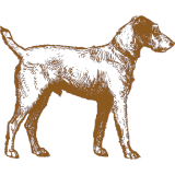 A brown and white drawing of a dog on a white background.