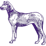 An illustration of a dog on a white background.