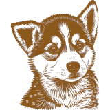 A drawing of a husky puppy on a white background, inspired by the Westminster Kennel Club.