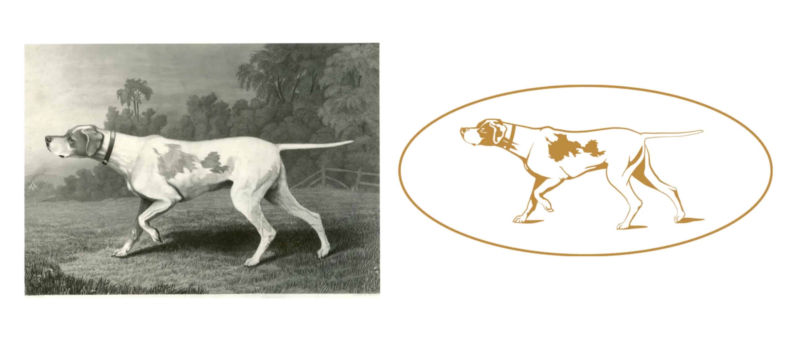 A black and white drawing of a great dane and a black and white drawing of a great dane.