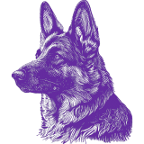 A german shepherd dog in purple on a white background.