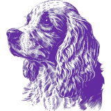 A purple and white drawing of a cocker spaniel.
