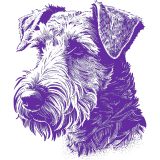 A purple drawing of an irish terrier.