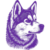 A purple and white drawing of a husky dog.