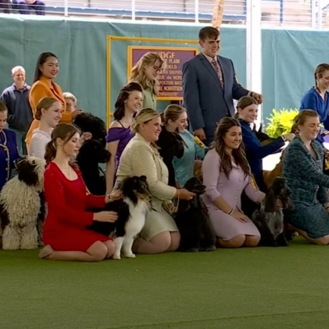 A group of people posing with their dogs at a dog show.
