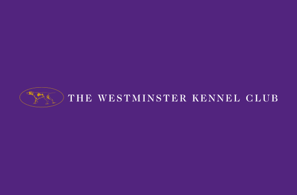 The westminster kennel club logo on a purple background.