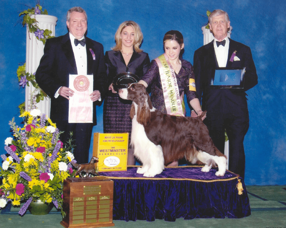 Junior handler awarded at dog show with her springer spaniel, alongside judges and trophies.