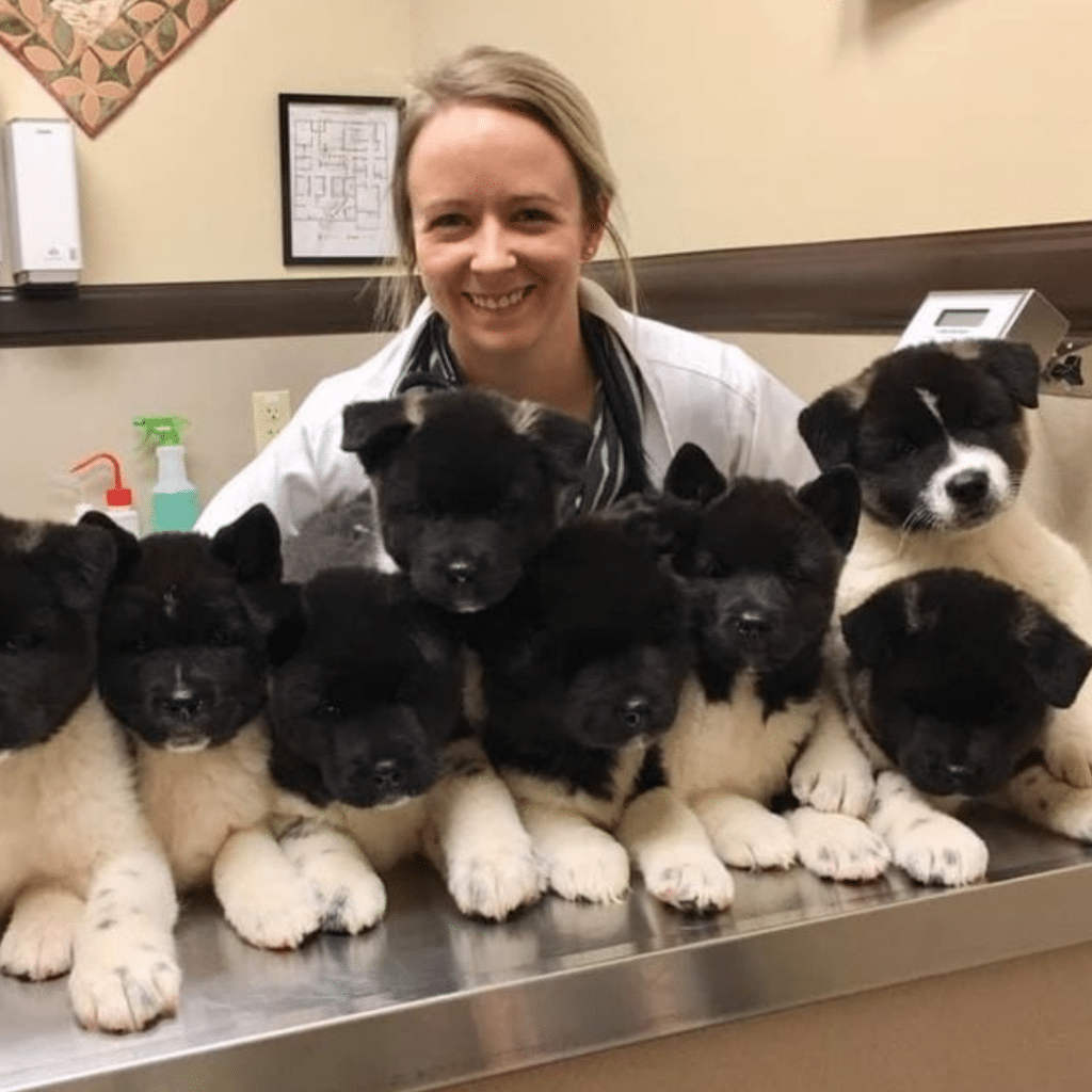 A "Veterinarian of the Year" smiling, surrounded by six black and white puppies on a table in a clinic.