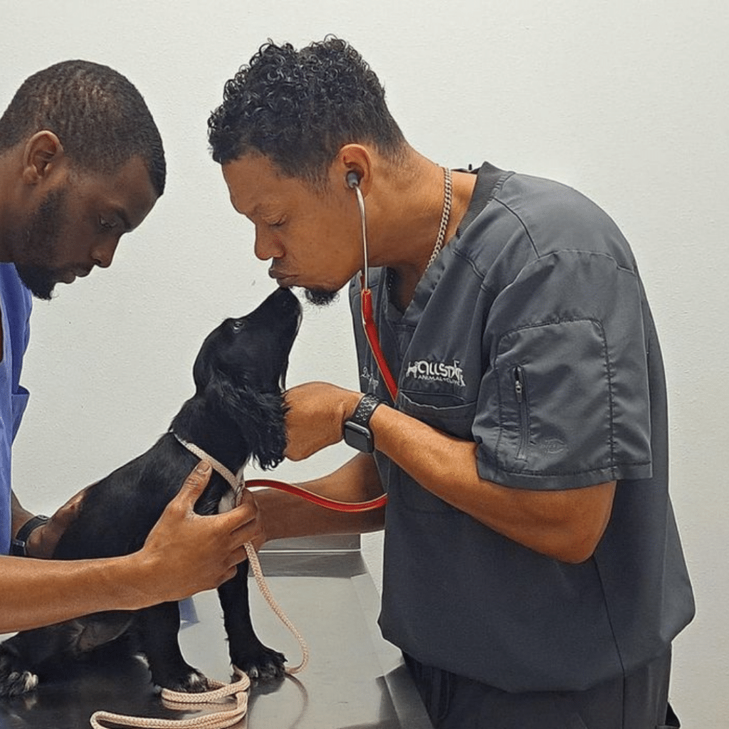 Two "Veterinarian of the Year" nominees examining a black puppy with a stethoscope in a clinic.