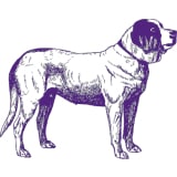 Illustration of a standing labrador retriever, depicted in a side profile with detailed line work, primarily in purple tones, representing the Westminster Kennel Club.
