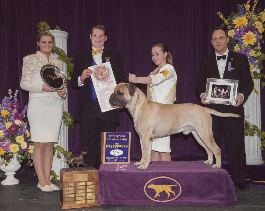 A large mastiff breed dog stands on a winner's podium at a dog show, flanked by a trophy holder, two handlers, and a judge, all posing for a victory photo with awards and flowers in the background.