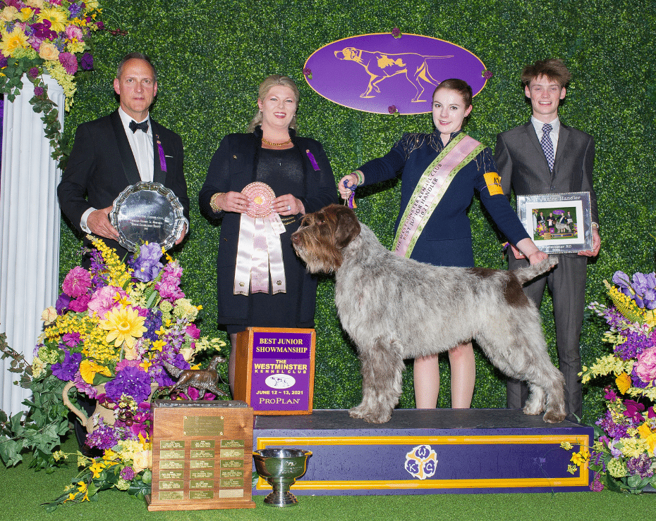 A dog with its handlers receives an award at a dog show event, posing in front of a backdrop decorated with flowers and event signage.