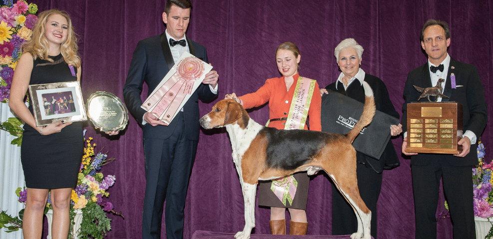Group of people presenting awards at a dog show with a winning dog and its handlers onstage.