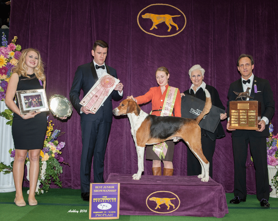 Dog and handlers at an award ceremony with trophies, at the westminster kennel club dog show.