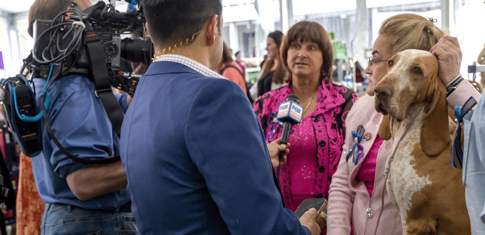 A reporter interviews an exhibitor holding a hound at an outdoor event, with camera operators filming the interaction.