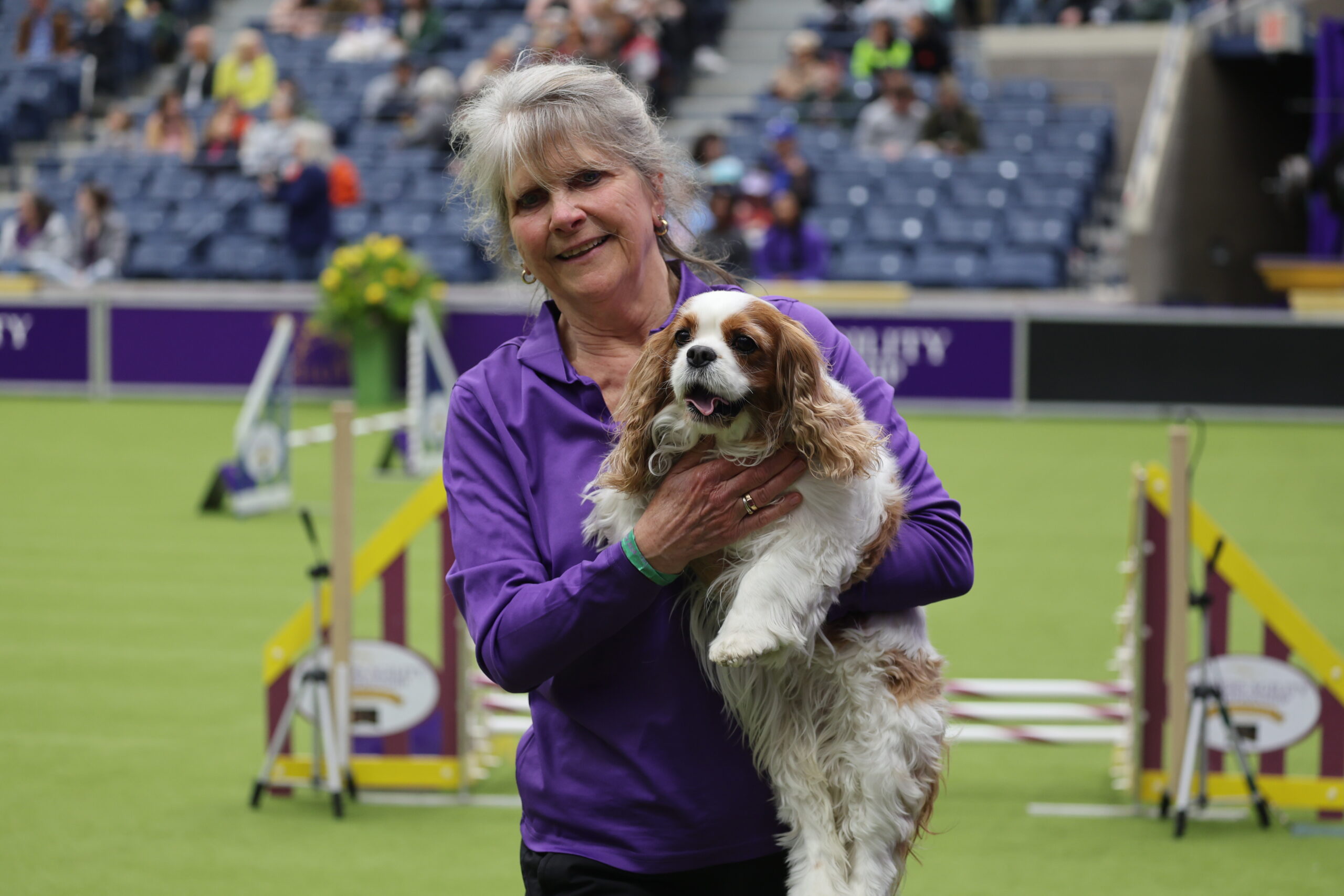 Westminster Dog Show 2024 Agility Competition Edyth Haleigh