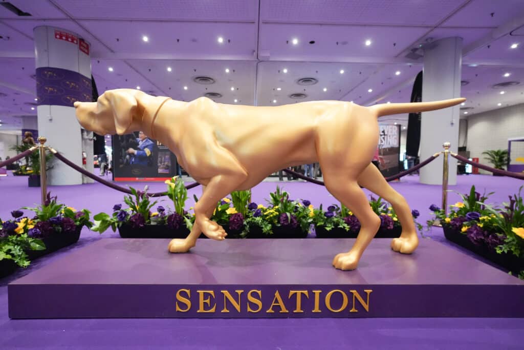 A golden statue of a dog stands on a platform labeled "Sensation," surrounded by flowers and ropes, in a large indoor space.