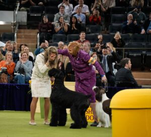 At the 149th Annual Westminster Kennel Club Dog Show, two women jubilantly celebrate with a large black dog at the center. A cameraman captures the joyous moment while an enthusiastic audience looks on, many snapping photos to remember this iconic event.