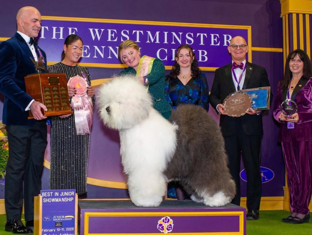 Group of people posing with a large, fluffy dog at a dog show. They hold trophies, ribbons, and plaques. One person has a hand on the dog, and a sign reads "Best in Junior Showmanship.