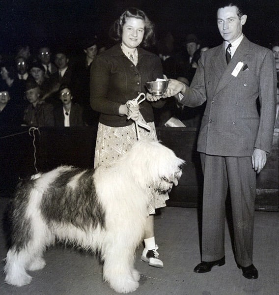 A woman holds the leash of an Old English Sheepdog while a man presents a trophy cup; they are surrounded by an audience in formal attire.