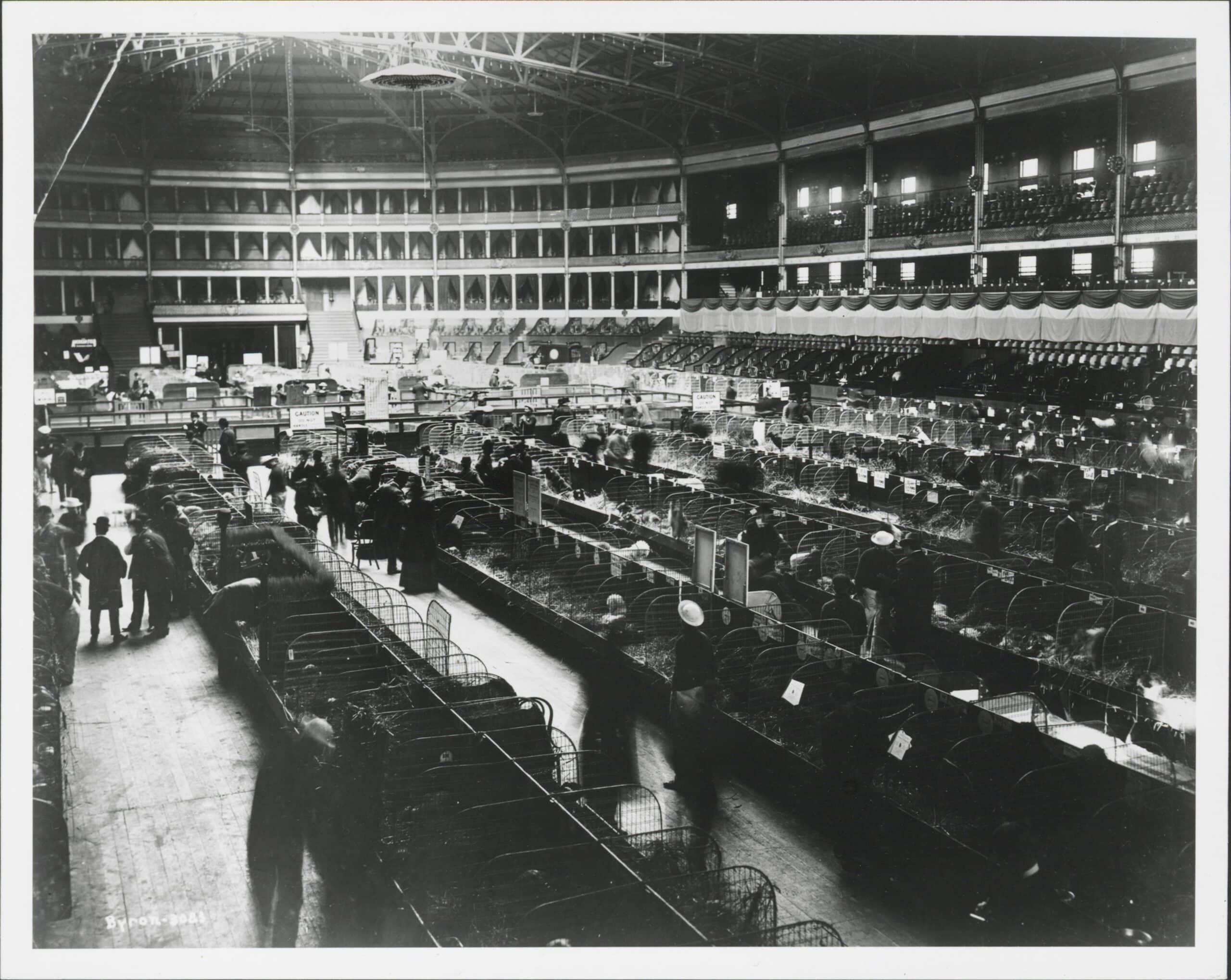 Black and white photo of a large indoor exhibition hall with rows of animal cages, people walking, and tiered seating around the perimeter.