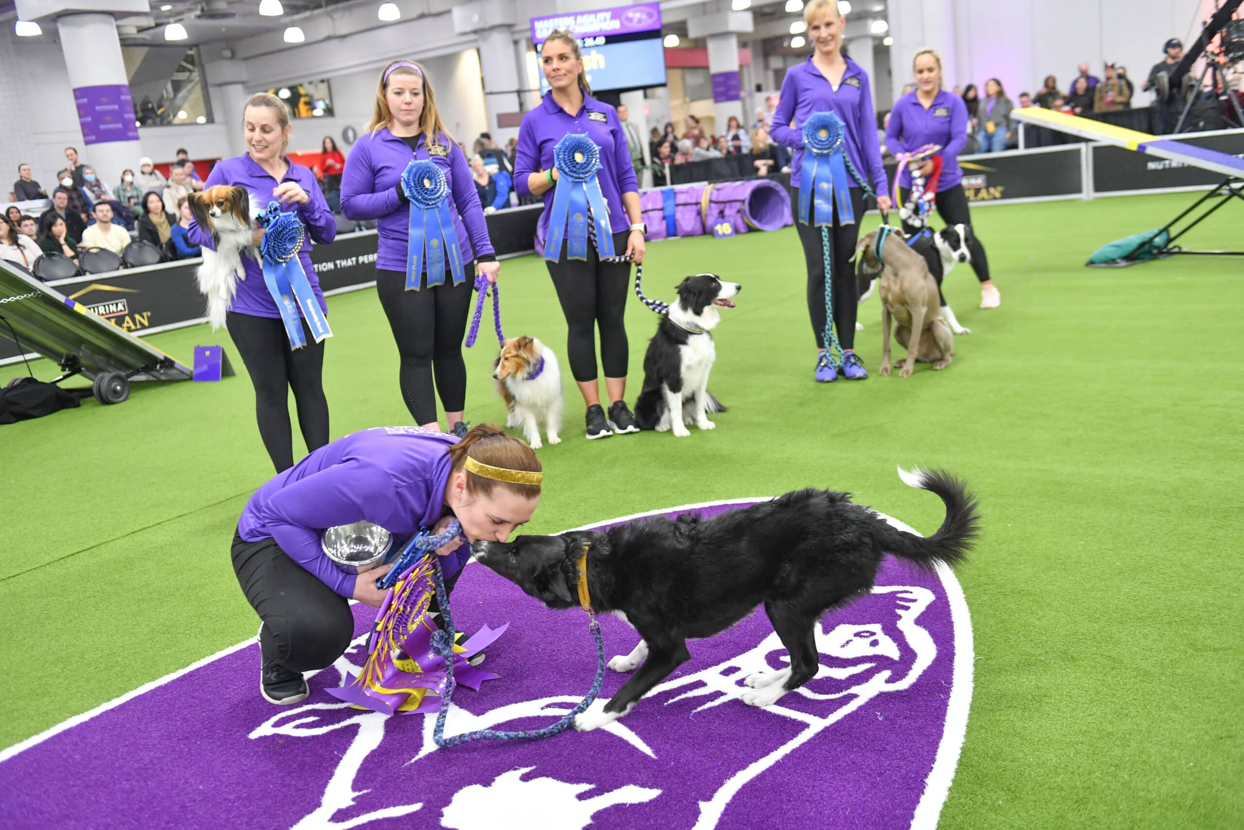 A woman kneels to kiss a black dog on a purple mat while other women, award ribbons in hand, stand behind them with their dogs in an indoor arena. Meet Dr. Sara Lyle: The Westminster Kennel Club’s 2025 Veterinarian of the Year.