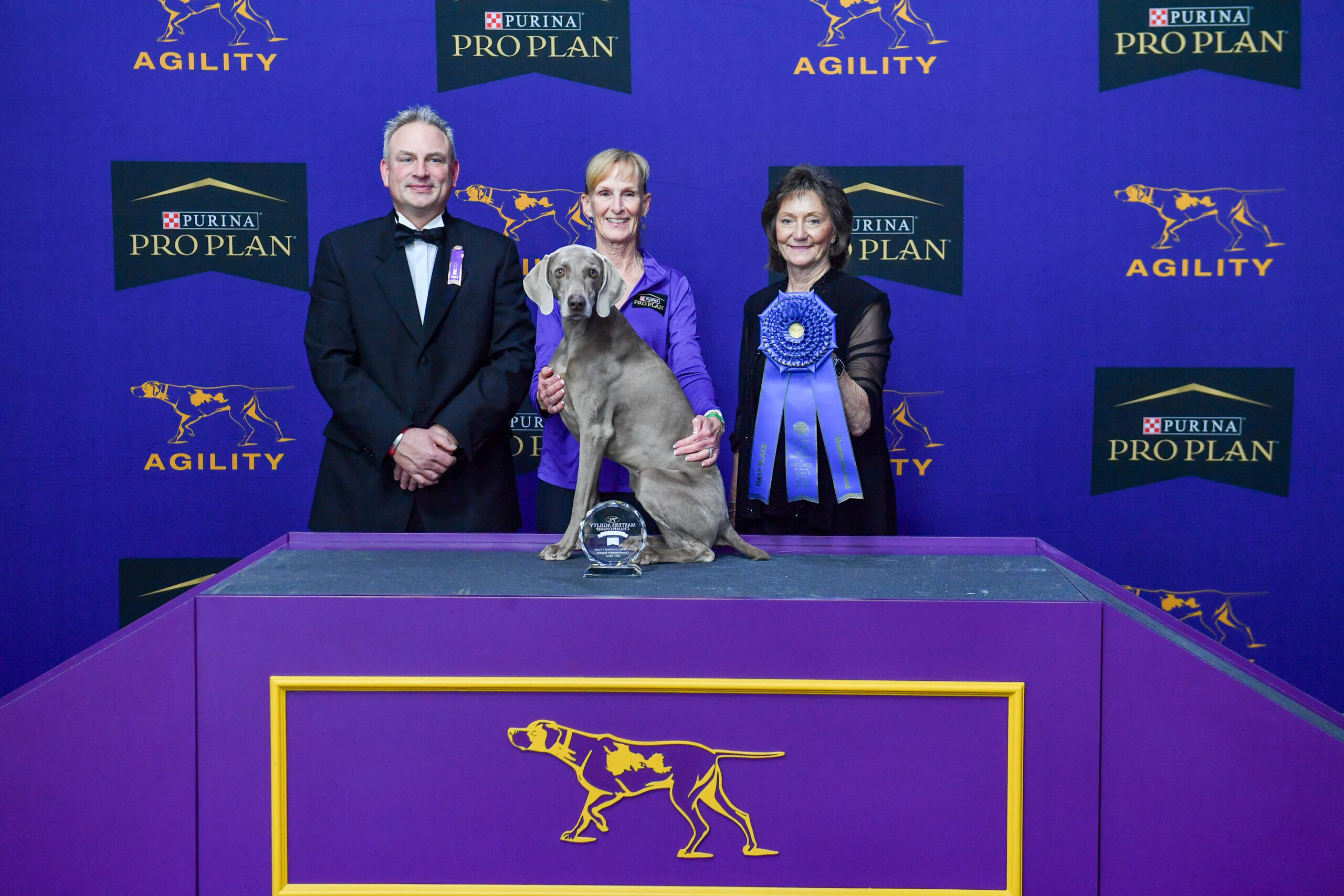 Three people pose with a Weimaraner dog and a large blue ribbon on a winner’s podium at a Purina Pro Plan Agility event. Meet Dr. Sara Lyle: The Westminster Kennel Club’s 2025 Veterinarian of the Year.