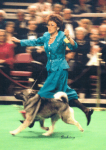 A woman in a teal suit runs with a leashed dog in an indoor show ring, with an audience seated in the blurred background.