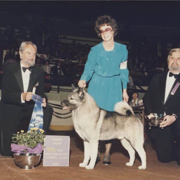 Three people in formal attire pose with a dog at a dog show. The woman stands with the dog, while the two men hold awards. A sign reads “Hound Group, The Westminster Kennel Club, 1986.”.