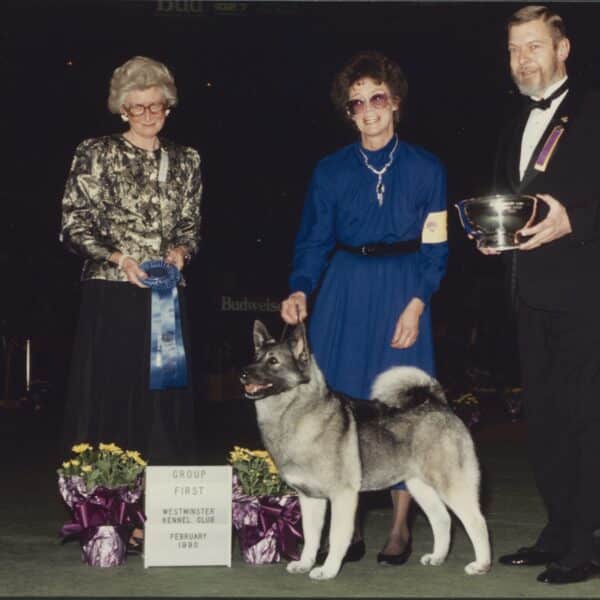 Three people stand with a Norwegian Elkhound dog at a dog show. The dog won first place in its group at the Westminster Kennel Club in February 1990.