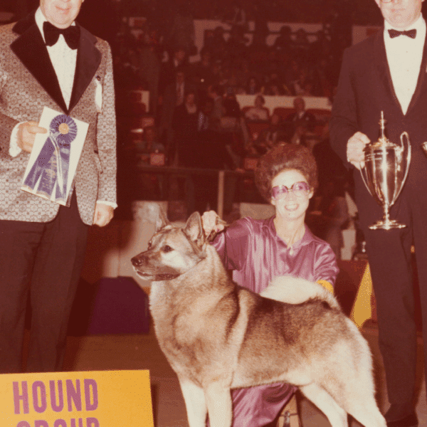 Three people pose with a trophy and ribbon next to a dog in front of a "Hound Group" sign at a competition in an indoor arena.
