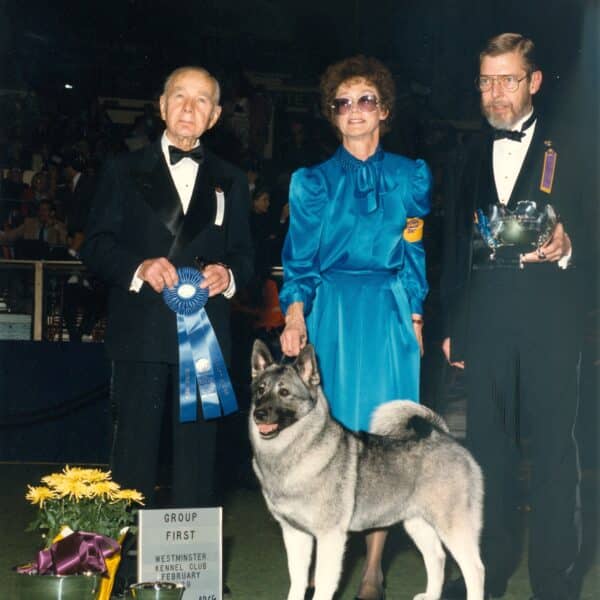 Three people stand behind a Norwegian Elkhound with a blue ribbon at a dog show. A trophy, flowers, and a “Group First” sign are displayed in front of the dog.