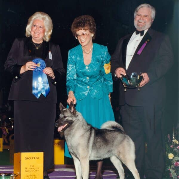 Three people in formal attire stand behind a Norwegian Elkhound and display awards, including a blue ribbon and trophy, at a dog show event.