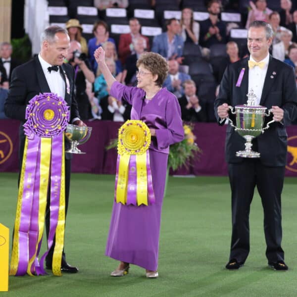 Three people stand on a green carpet holding large trophies and ribbons at a dog show event, with a seated audience in the background.
