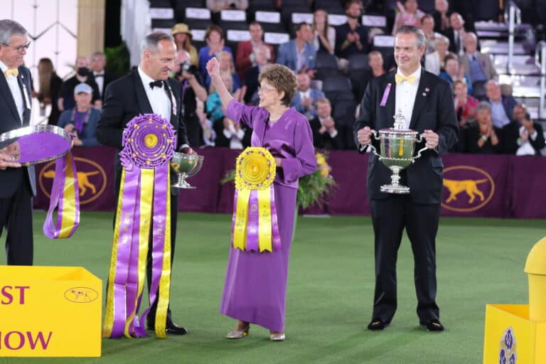 Three people stand on a green carpet holding large trophies and ribbons at a dog show event, with a seated audience in the background.