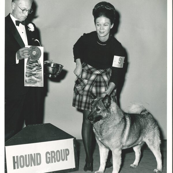 A woman stands with a dog next to a sign reading "Hound Group" as a man holds a rosette and trophy, likely at a dog show.