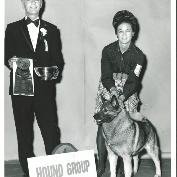 A man in a tuxedo holds a ribbon and bowl while a woman kneels beside a dog. A sign in front reads "HOUND GROUP.