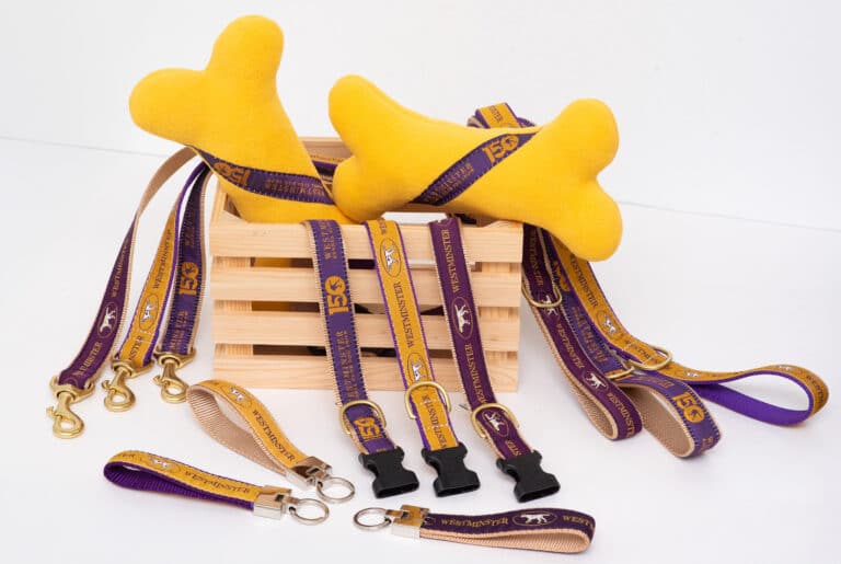 A wooden crate with two yellow plush dog bone toys, several purple and tan leashes, collars, and keychains with dog-related branding, all arranged on a white background.