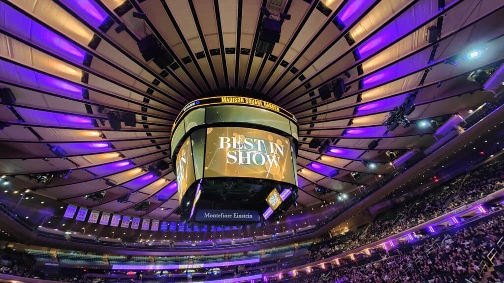 A large scoreboard at Madison Square Garden displays "Best in Show" and highlights the impressive 2026 Entries above an arena filled with spectators and illuminated with purple lighting.