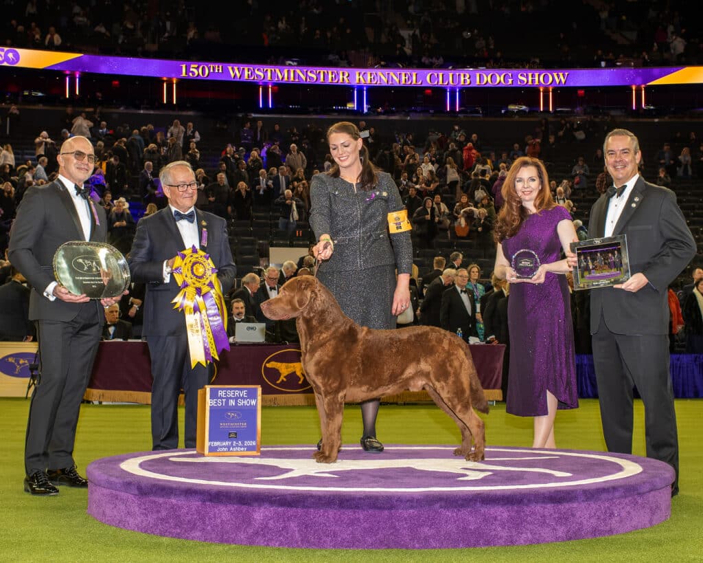 A dog and five people stand on the main stage at the Westminster Kennel Club Dog Show, celebrating the Westminster Kennel Club Best in Show Winner 2025, holding awards and ribbons with a crowd in the background.