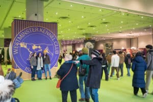 People gather inside a large hall with a prominent Westminster Kennel Club sign and display booths; some attendees pose for photos while others walk around.