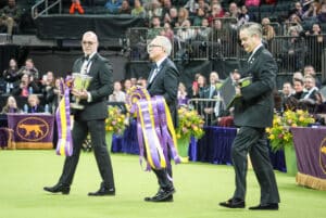 Three men in suits walk on a green carpet, holding trophies and large purple and yellow award ribbons, with a seated audience and floral arrangements in the background.