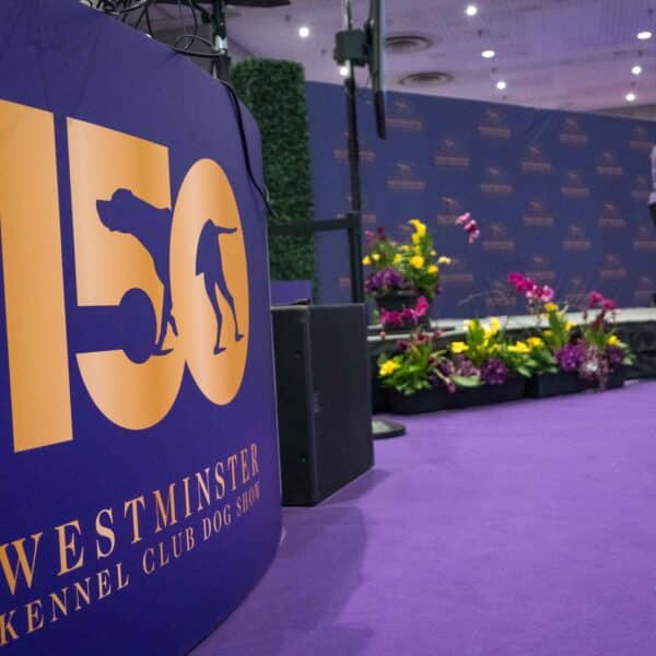 A large sign for the 150th Westminster Kennel Club Dog Show stands in front of a purple stage with people and flowers in the background.
